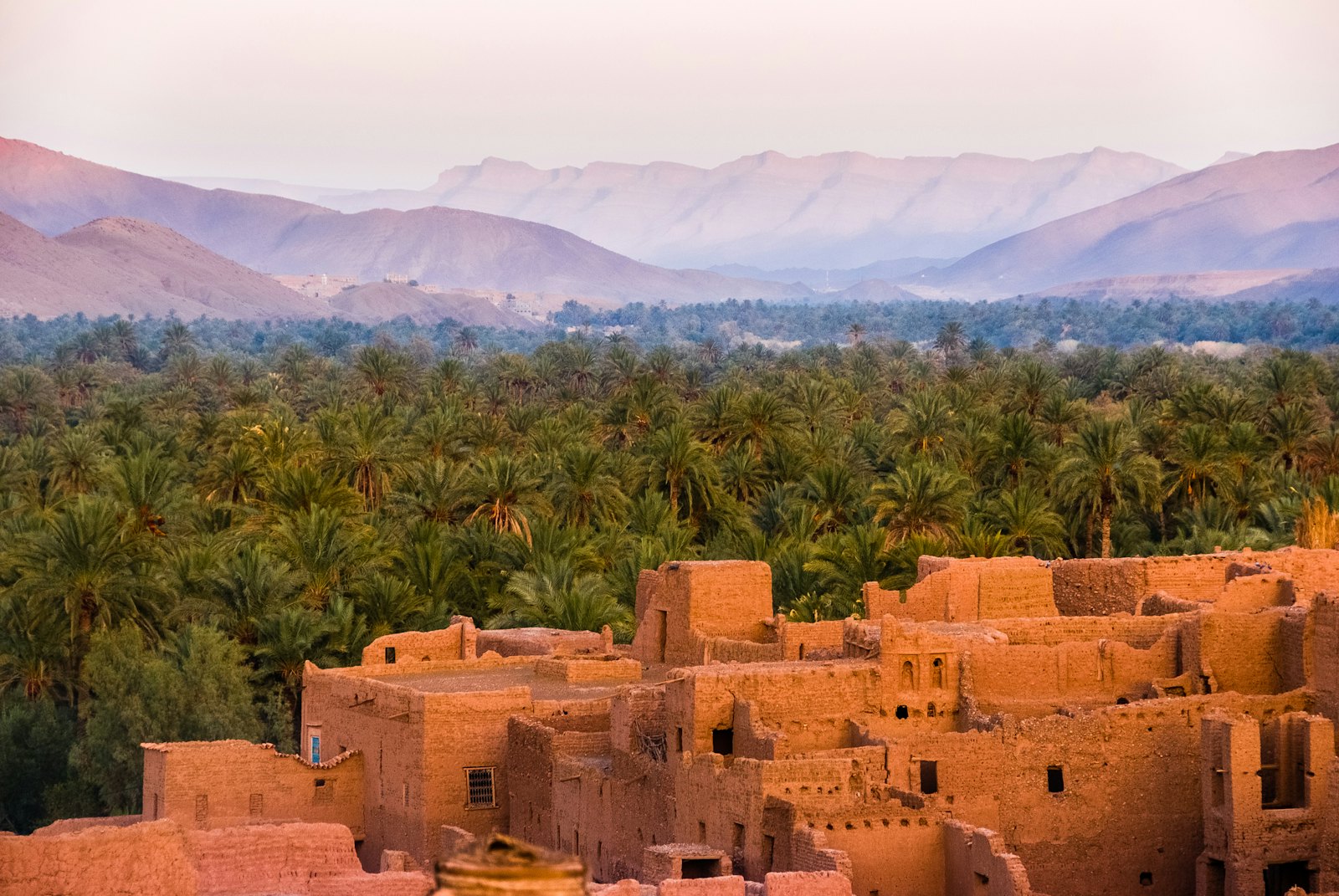 Vista de Oasis Festival, Marrakesh — transfer privado con Ridezio